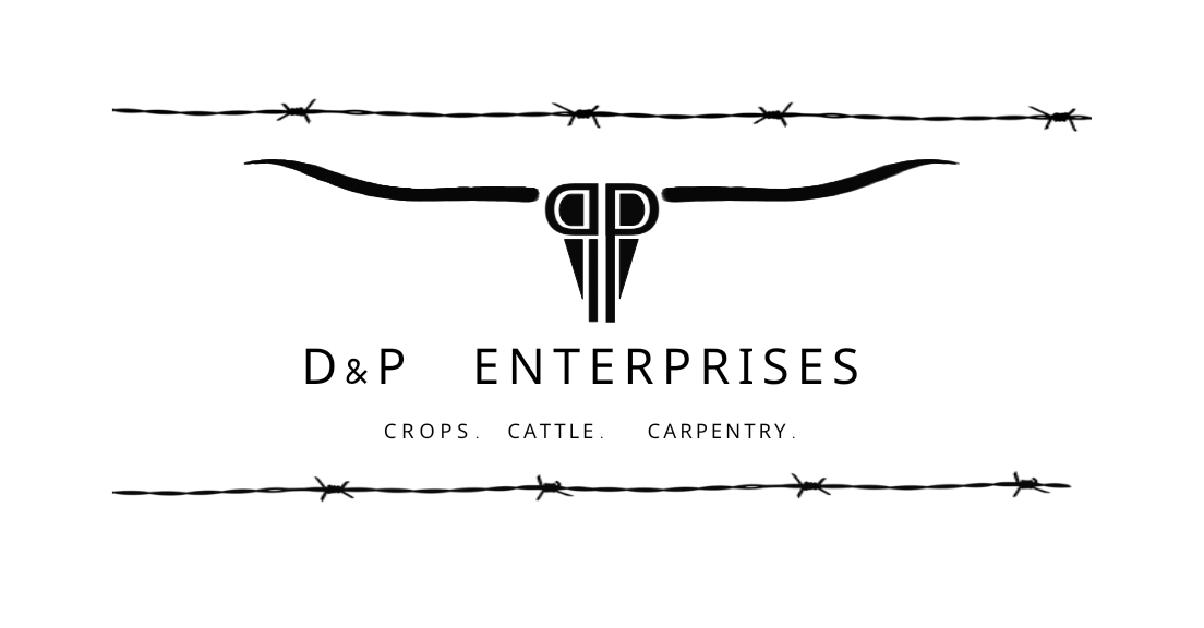 D&P Enterprises Logo